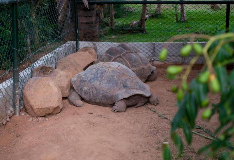 Evergreen Apartments