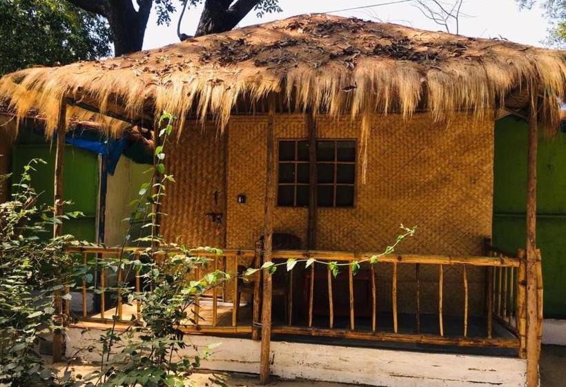 منتجع Yoga Culture Palolem