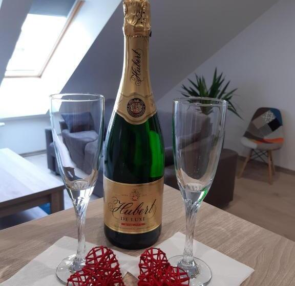 بنسيون Apartmány Viecha