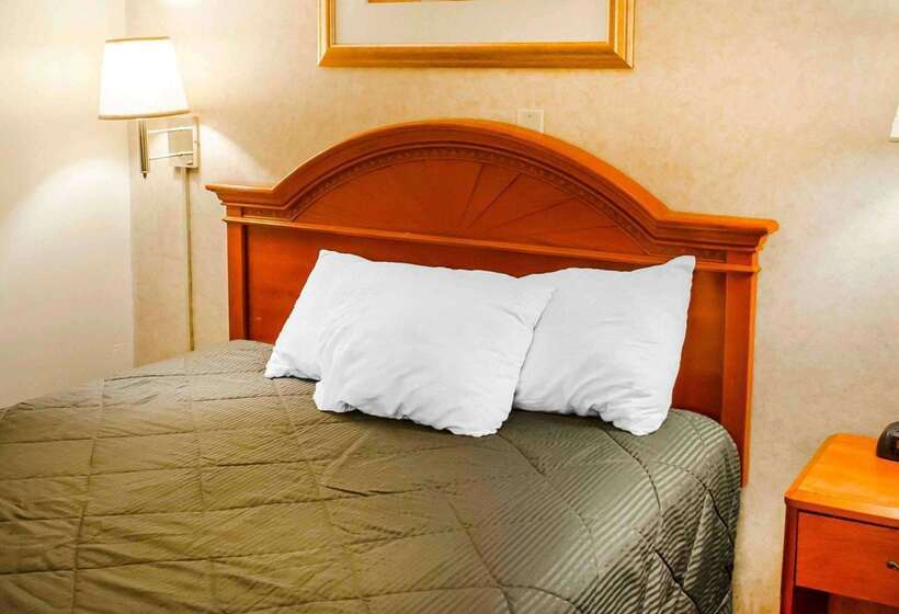 호텔 Rodeway Inn