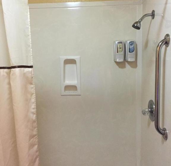 בית מלון כפרי Royal Inn Pearsall