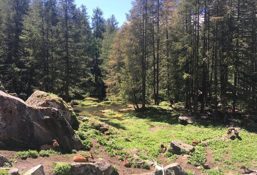 تختخواب و صبحانه Montagn'arcs