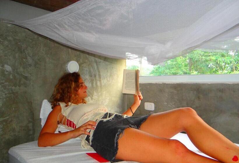 پانسیون Freesoul Hostel