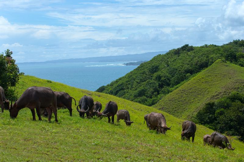 فندق Lelewatu Resort Sumba
