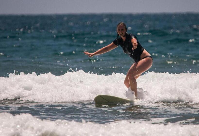 تختخواب و صبحانه Vikara