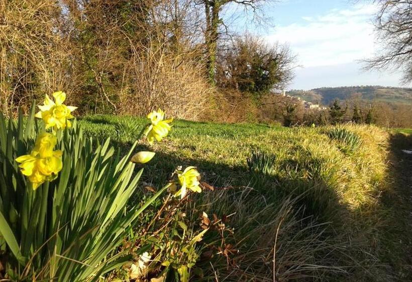 فندق B&b Resort Fonte La Castellana