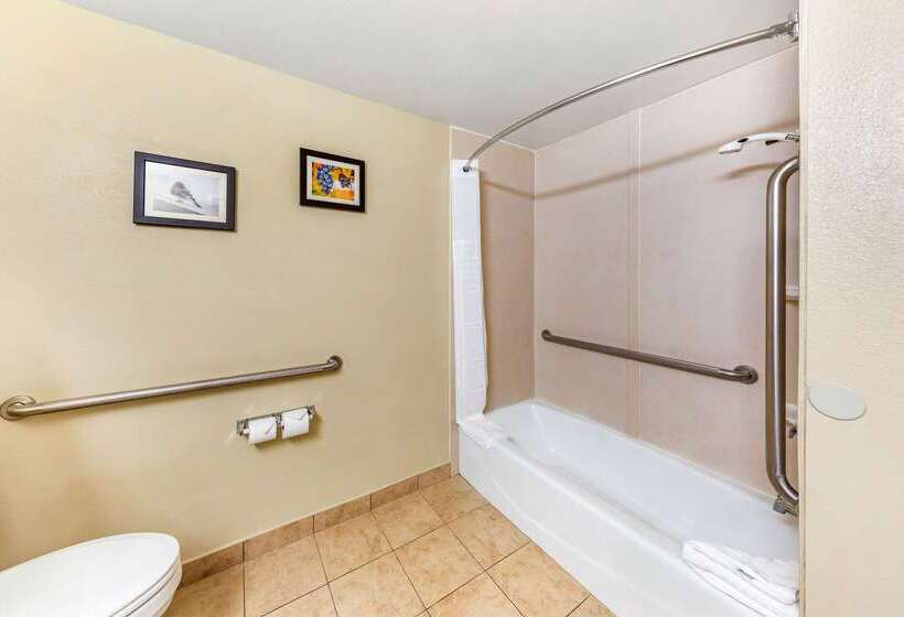 فندق Comfort Inn & Suites