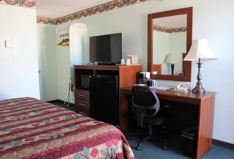 فندق Safari Inn