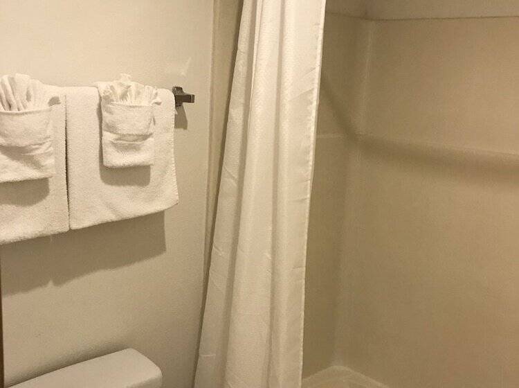 酒店 Seatac Airport Value Inn
