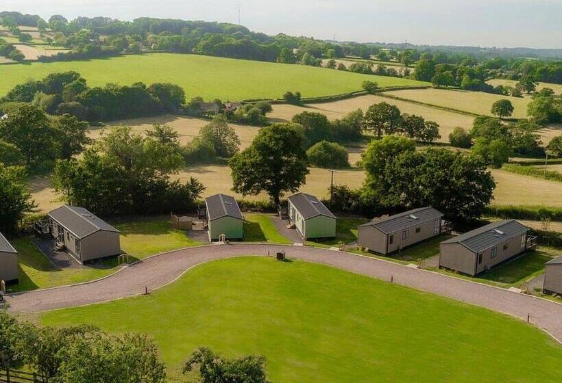 منتجع Andrewshayes Orchard Retreat