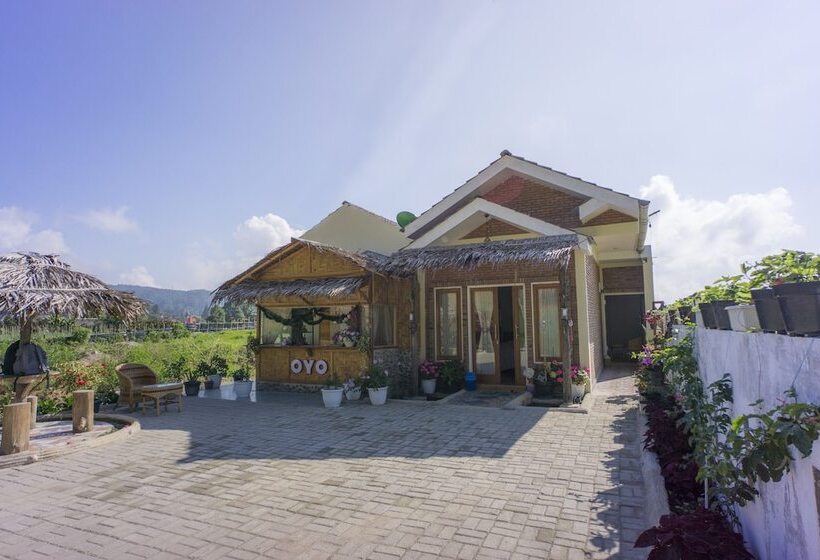 هاستل Sapo Rumbia By Oyo Rooms