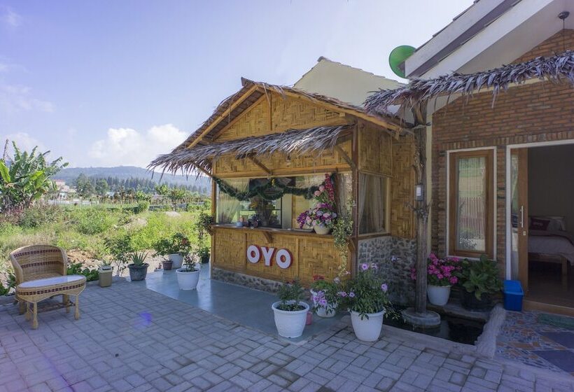 هاستل Sapo Rumbia By Oyo Rooms