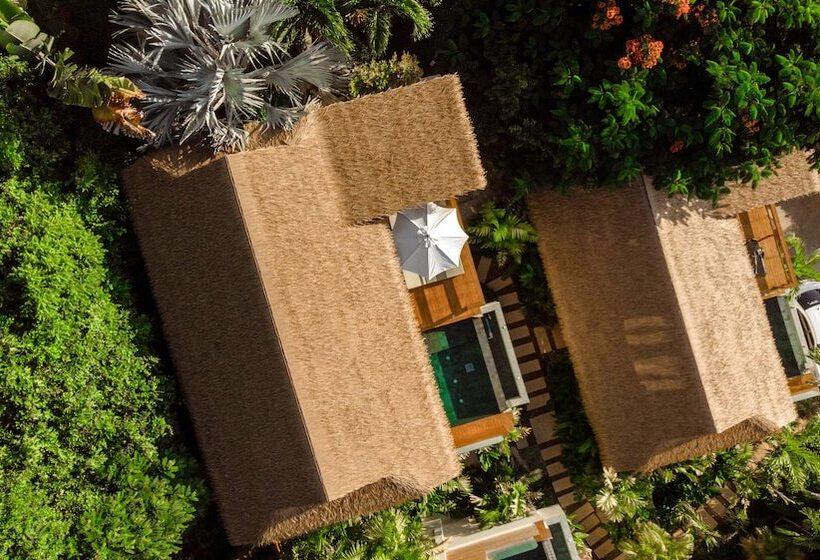 Wild Cottages Luxury And Natural   Adults Only