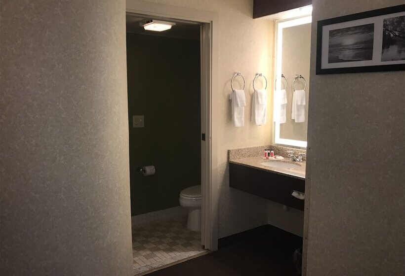 בית מלון כפרי Baymont By Wyndham Flat Rock