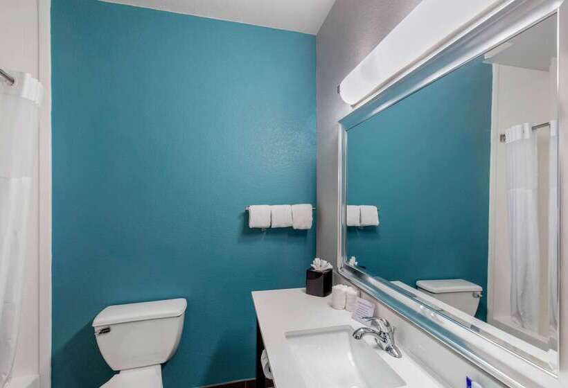 هتل Clarion Inn & Suites Dfw North