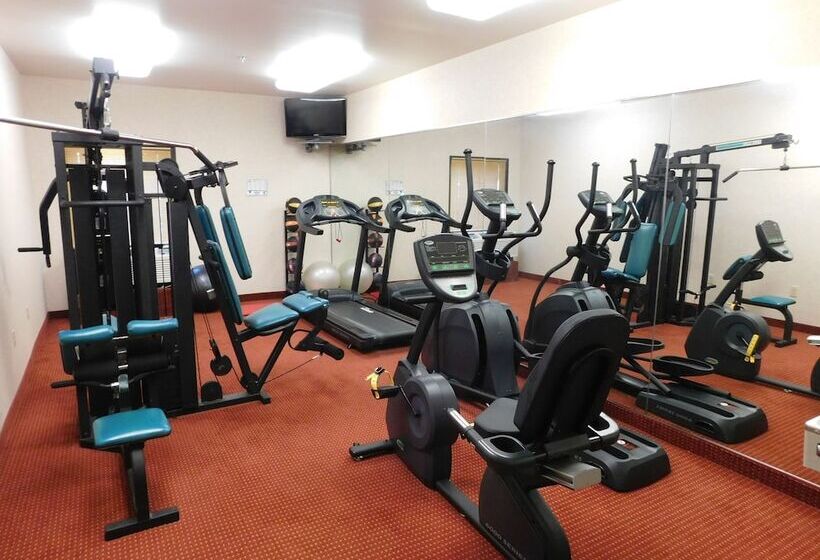 هتل Days Inn & Suites By Wyndham Cedar Rapids