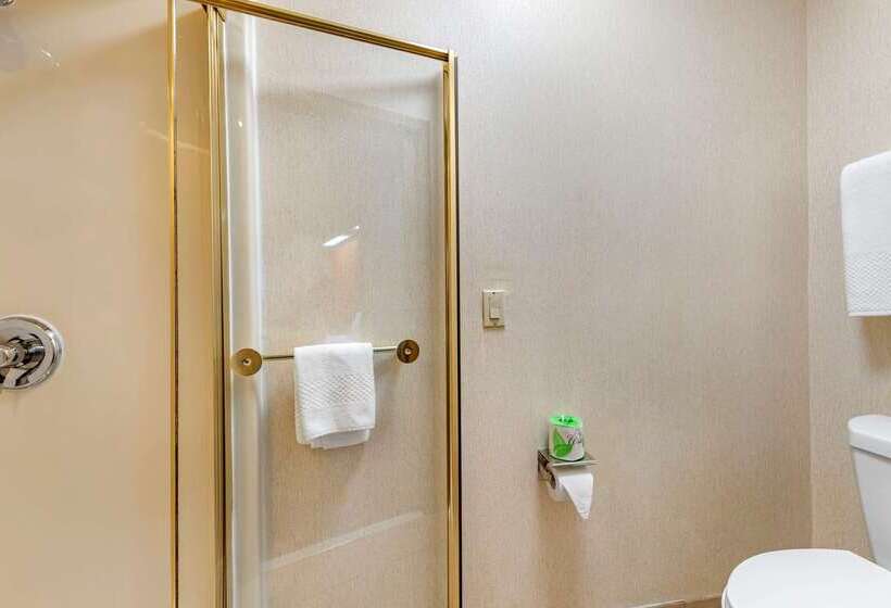 هتل Econo Lodge North Academy