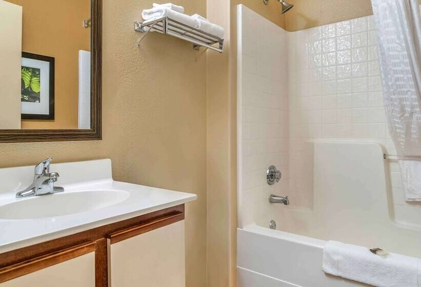 هتل Extended Stay America Select Suites   Detroit   Ann Arbor   University South