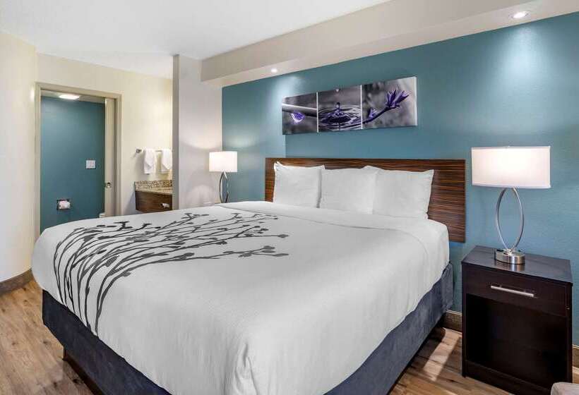 בית מלון כפרי Sleep Inn Clearwaterst Petersburg