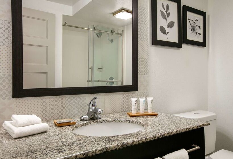 호텔 Sleep Inn & Suites Near Halifax Regional Medical Center