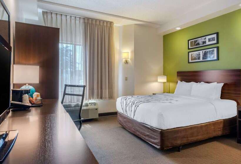 Spot X Hotel Tampa   Wesley Chapel By The Red Collection