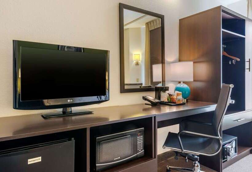 Spot X Hotel Tampa   Wesley Chapel By The Red Collection