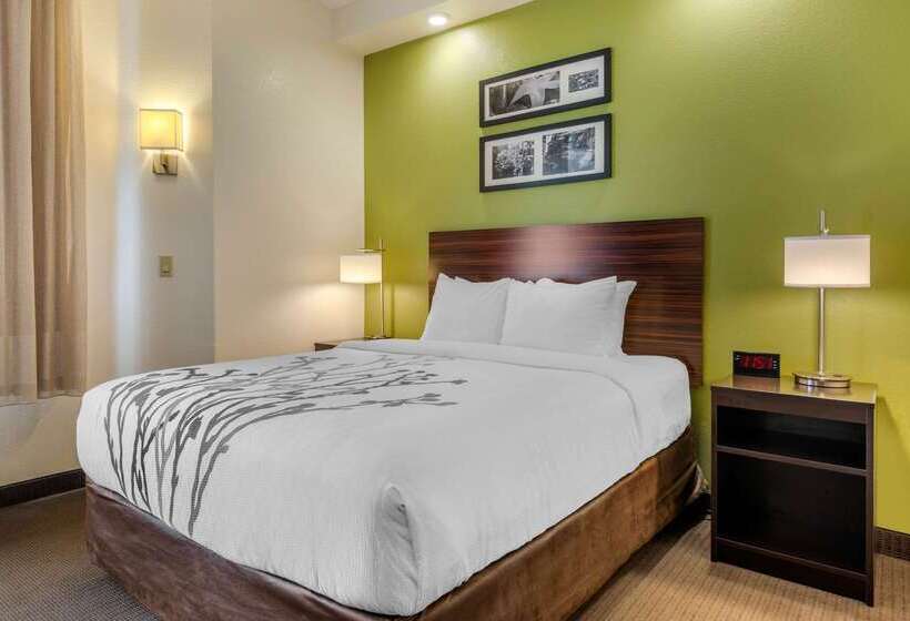 Spot X Hotel Tampa   Wesley Chapel By The Red Collection