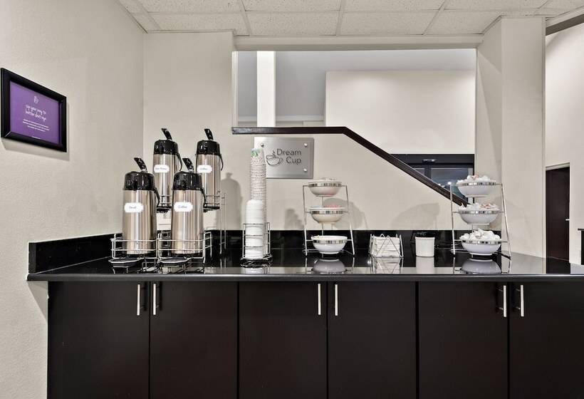 Spot X Hotel Tampa   Wesley Chapel By The Red Collection