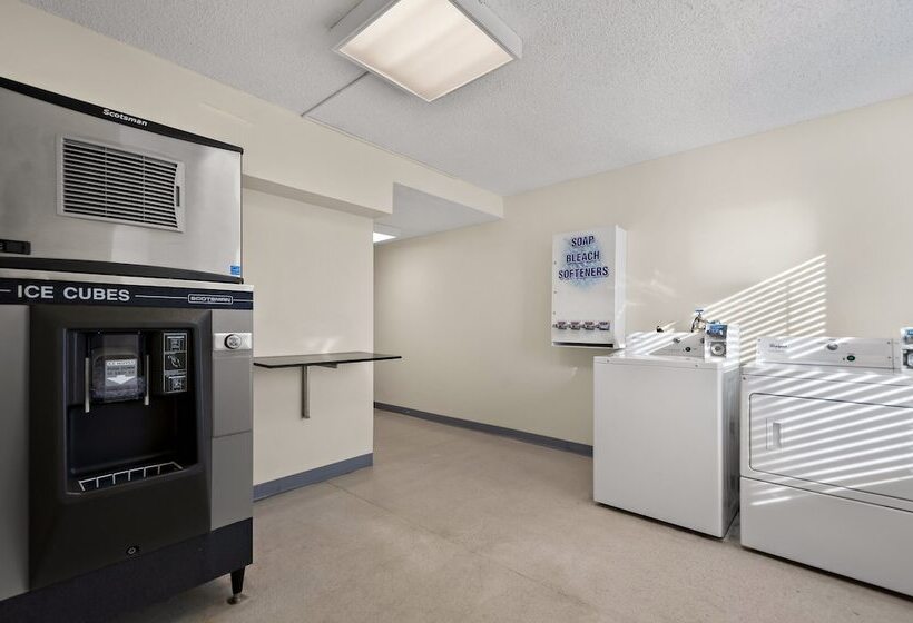 Spot X Hotel Tampa   Wesley Chapel By The Red Collection