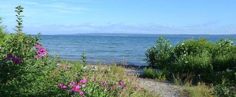 فندق Stafford's Bay View Inn