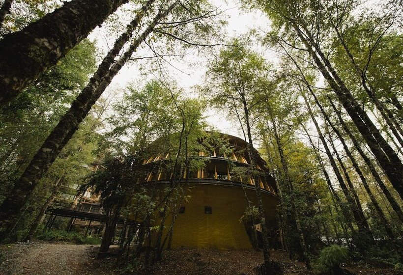 Hotel Huilo Huilo Reino Fungi