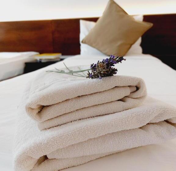 تختخواب و صبحانه Confort Inn