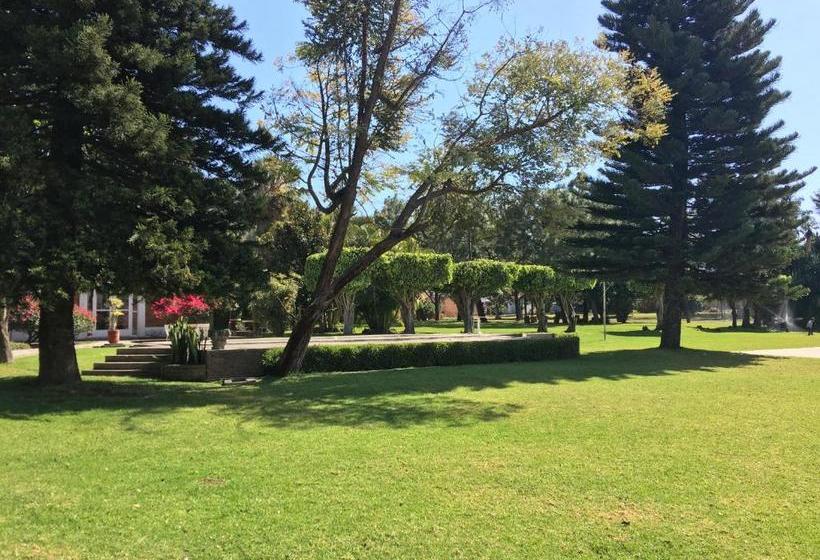 فندق La Quinta Sm