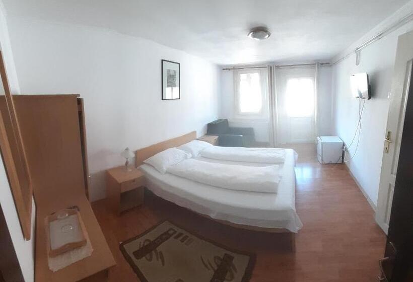 Отель Vila Szoke Sovata