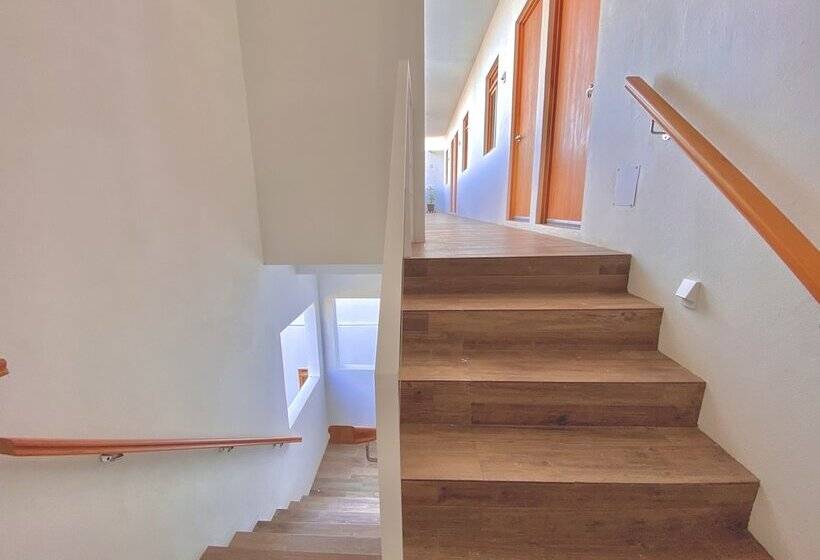 پانسیون Casa Palo Verde