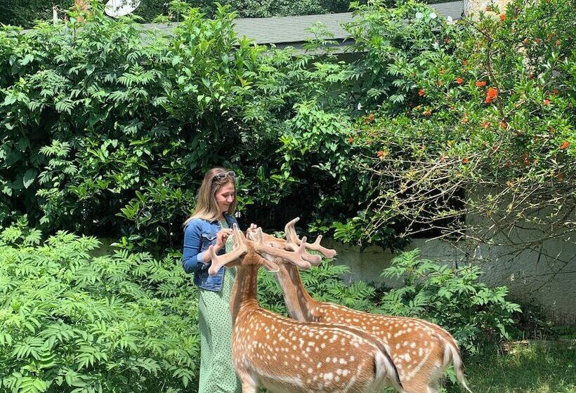 リゾートホテル Polonezköy Country Club & Accommodation In The Wildlife Park!