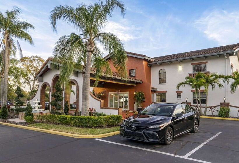 فندق Clarion Pointe Tampa Brandon Near Fairgrounds And Casino