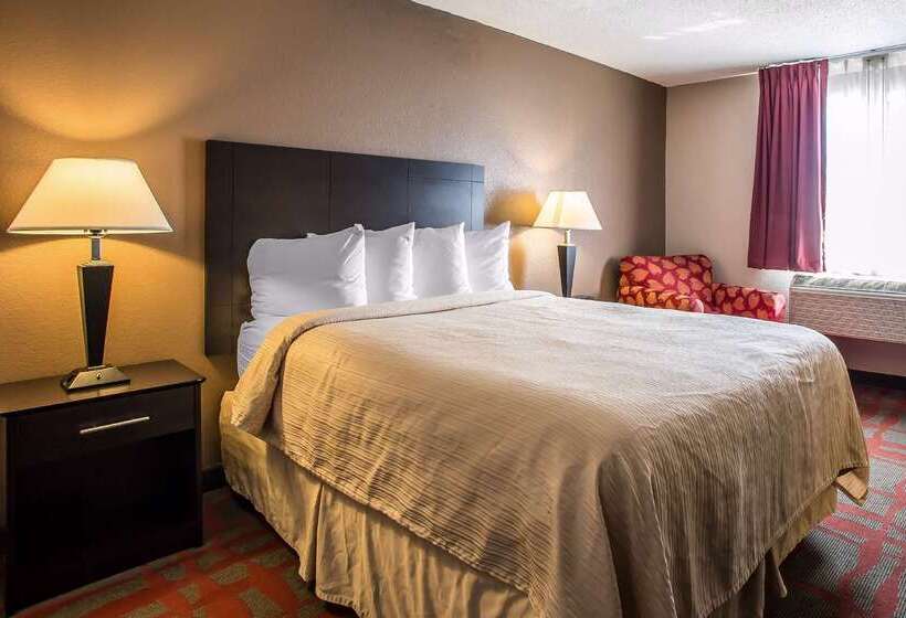 汽车旅馆  Quality Inn & Suites