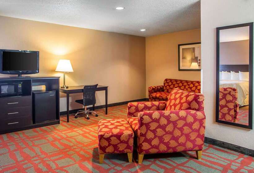 汽车旅馆  Quality Inn & Suites