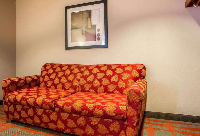 汽车旅馆  Quality Inn & Suites