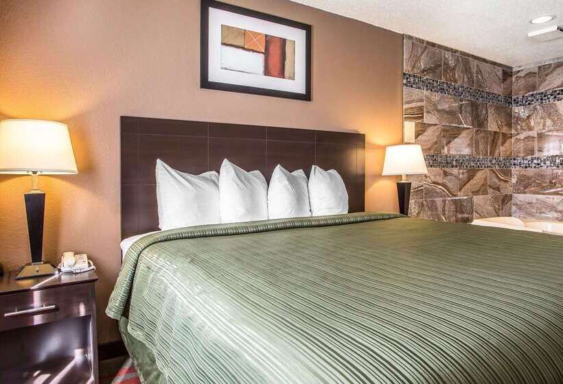 汽车旅馆  Quality Inn & Suites