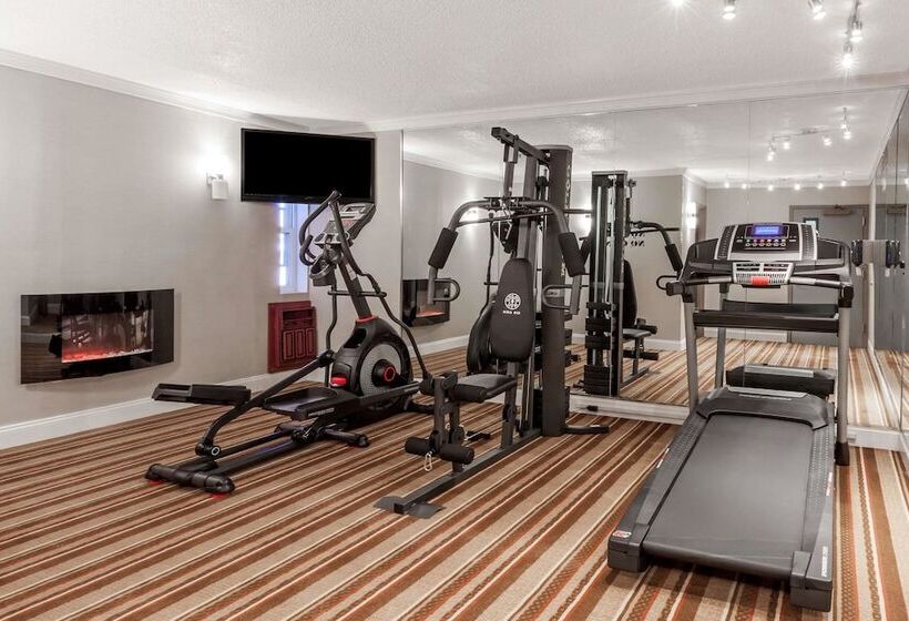 فندق على الطريق Super 8 By Wyndham Schenectady/albany Area