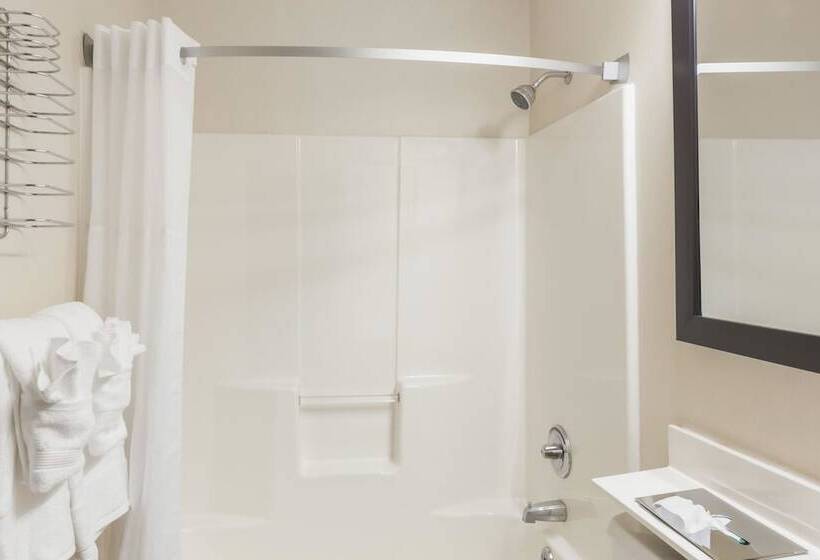 فندق على الطريق Super 8 By Wyndham Schenectady/albany Area