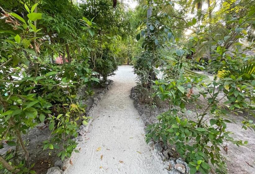 فندق صغير Your Zanzibar Place