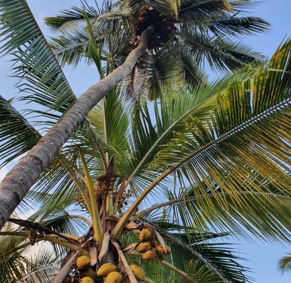 فندق صغير Your Zanzibar Place