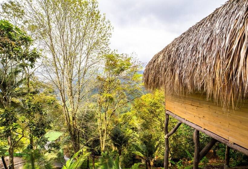 هتل Kawa Mountain Retreat