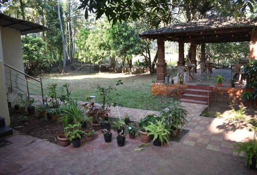 بنسيون La Petite Guest House