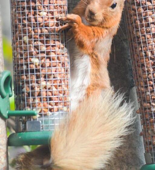 Netherton Farm Lodge