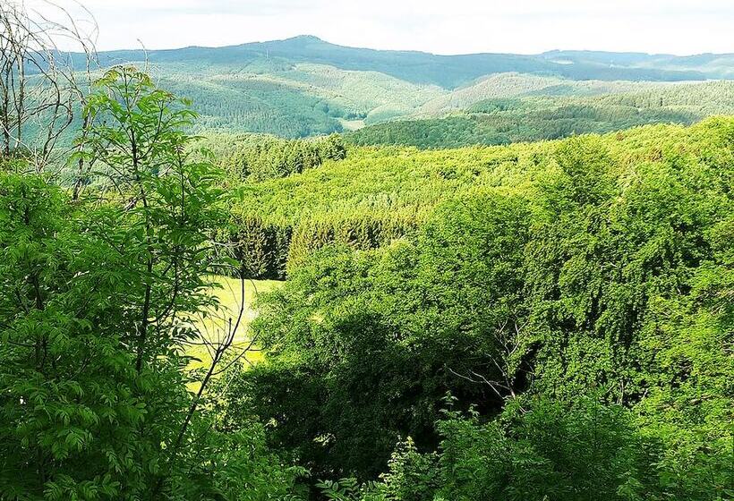 بنسيون Df Am Ring Nürburg