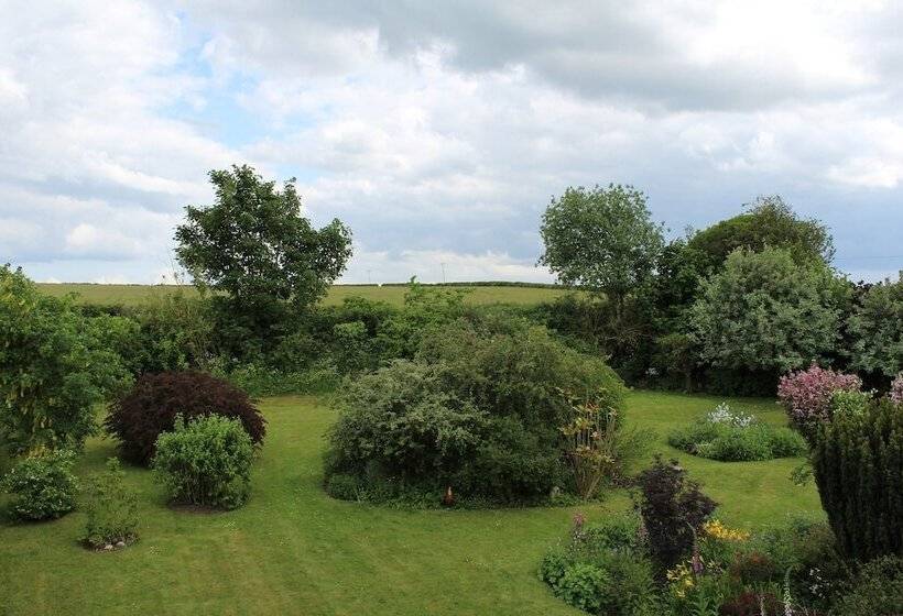The Vine B & B